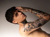 Declan_fox
