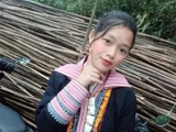 Maimai555