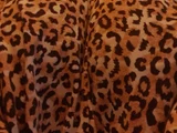 QueenAdrinaxx