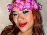 amandacanelacm